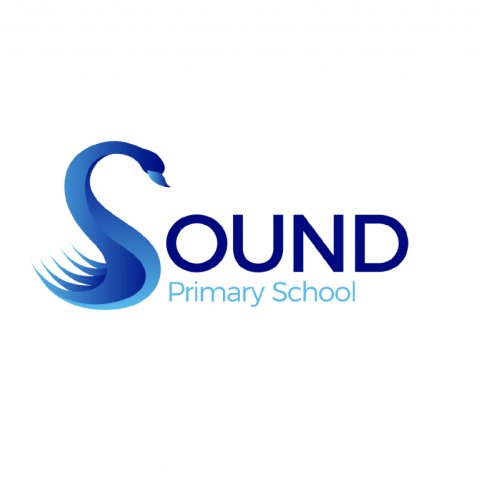 Sound Primary School