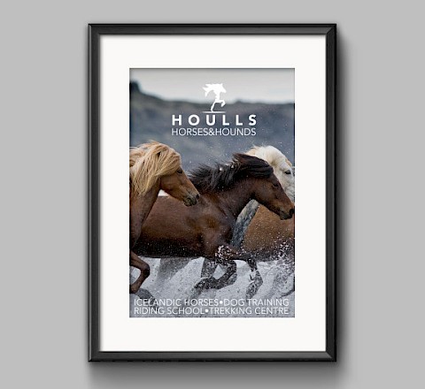 Houlls Horses & Hounds