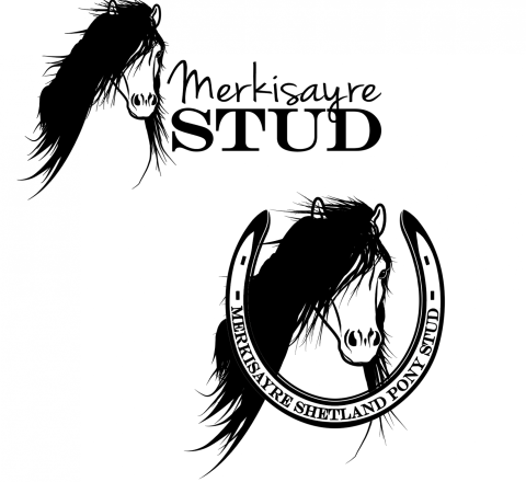 Merkisayre Stud