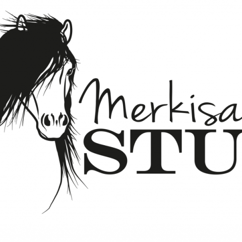 Merkisayre Stud