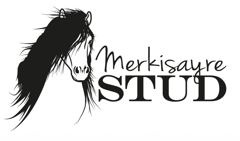 Merkisayre Stud